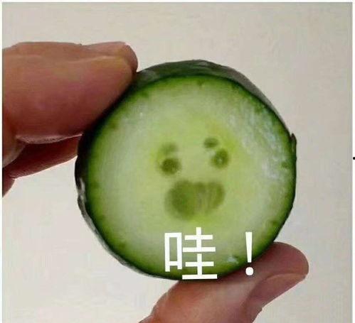 网红吃瓜加微信怎么加的,解锁社交新姿势