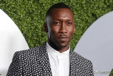 vince哥吃瓜网,揭秘娱乐圈幕后故事，带你领略明星真实生活