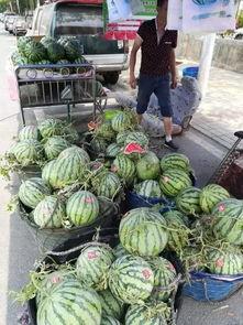 偃师吃瓜网红最新事件,揭秘背后真相与网络舆论风暴