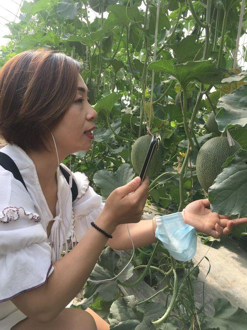 新疆吃瓜网红叫什么名字,瓜界新宠，带你领略西域风情